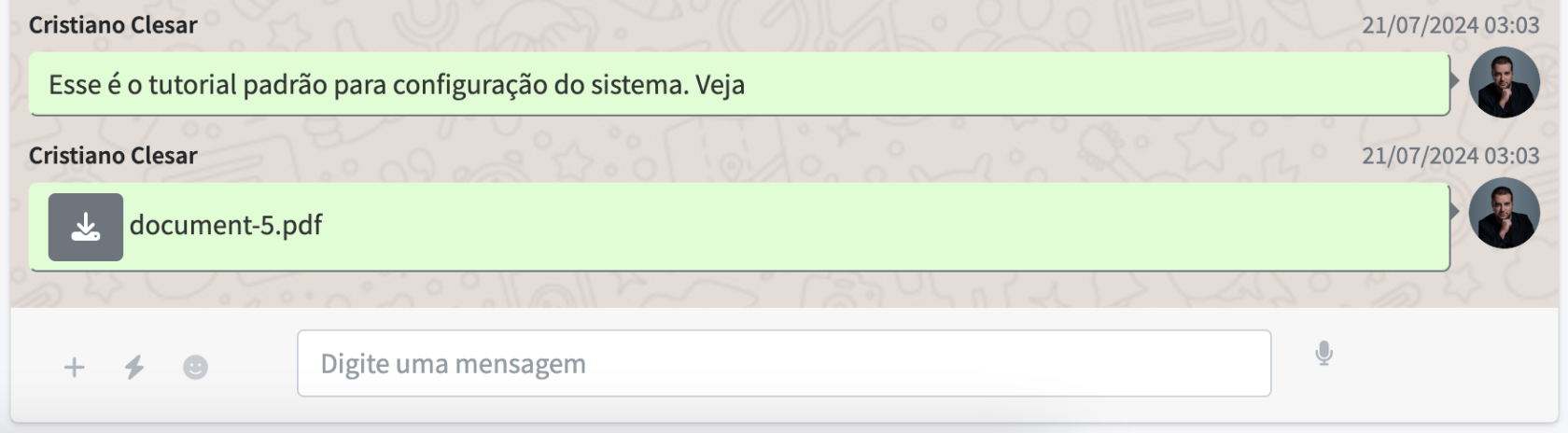 misterchat_msg_direta_02.png